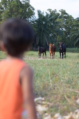 cow boy face 2