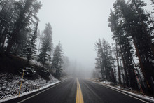 Scenic View Of Road Amidst Trees During Foggy Weather