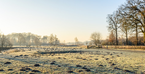 Wall Mural - Panoramic rural winter landscape in the Netherlands