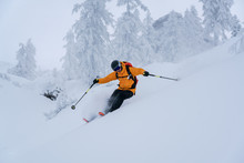 Man skiing in deep powder snow, Krippenstein, Gmunden, Austria
