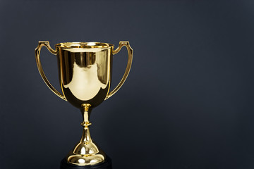 Wall Mural - gold winner cup on black background