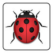 Ladybug small icon. Red lady bug sign, isolated on white background. 3d volume design. Cute colorful ladybird. Insect cartoon beetle. Symbol of nature, spring or summer. Vector illustration