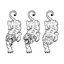 Tigers Set