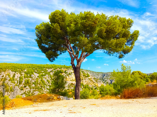 Fotografía Calanque between Marseille and Cassis, Provence, France