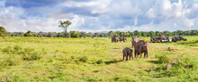 Panorama With Elephants And Jeeps Safari