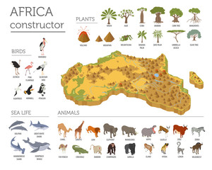 Wall Mural - Flat 3d isometric Africa flora and fauna map constructor element