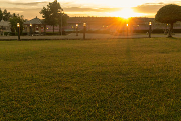 natural green grass field in local park.