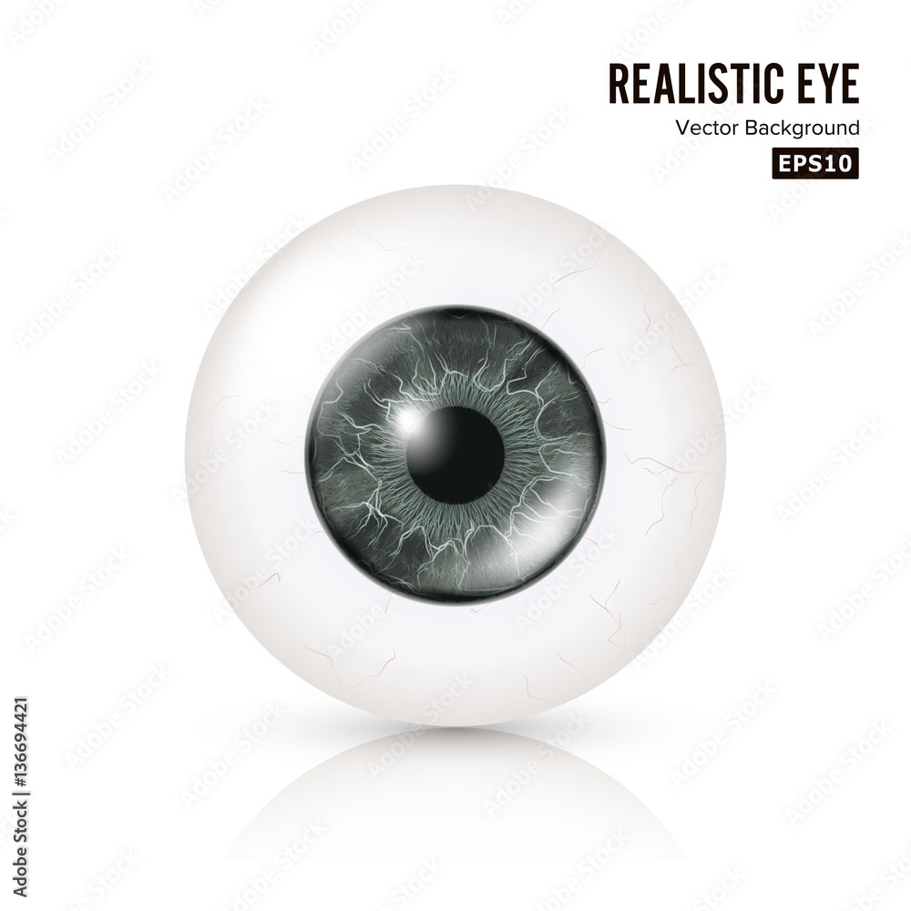 Eye Vector3 Eye Realistic. Vector Illustration Of 3d Human Glossy Photo Rrealistic ...