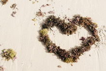 Heart In The Sand Of Seaweed, Valentine's Day On The Beach.