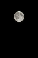 you've been mooned!
