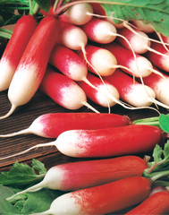 Wall Mural - Bunch of long roots radishes