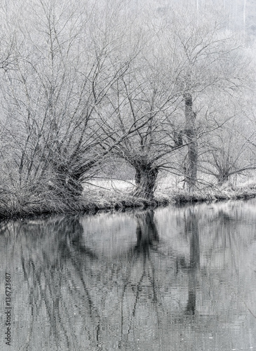 Fine Art Black White River Winter Scene Tree Water Reflection