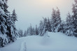 © standret - Fantastic winter landscape and trodden trails that lead into the