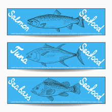 Various Fishes Banners