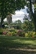Saint Adrien garden. South of France
