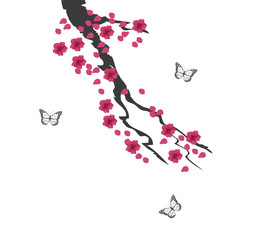 Canvas Print - Vector Cherry Blossom