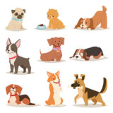 Fototapeta Koty - Funny cartoon dogs characters different breads illustration.