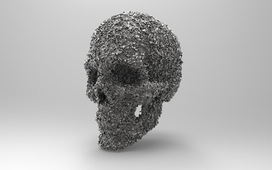 3D Illustration of A Human Skull