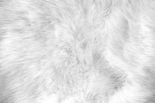 White Artificial Fur Texture