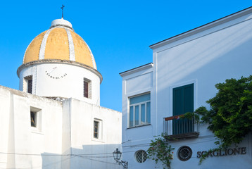 The island of Ischia