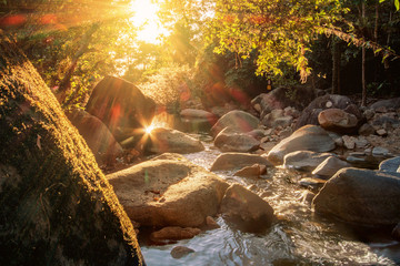 Wall Mural - Natural stones river in tropical forest with rays of sunrise