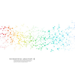 Wall Mural - Molecule DNA and neurons vector. Molecular structure. Connected lines with dots. Genetic chemical compounds. Chemistry, medicine, science, technology concept. Geometric abstract background.
