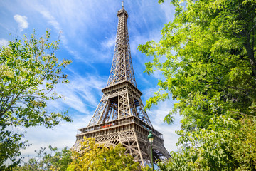 Wall Mural - eiffel tower