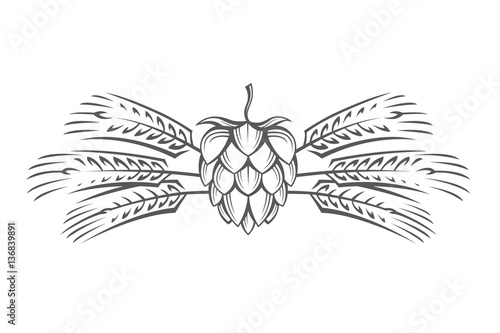 Cuadros en Lienzo black illustration of hop and barley ear for brewing