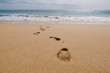 Footprints on the Sandy Beach 