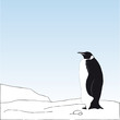 Vector bakcground with  penguin on the snow