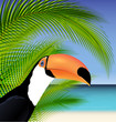 Vector Exotic trip card  with palm tree and Toucan