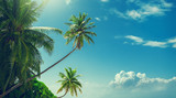 Fototapeta Na sufit - Palm tree at blue sky with clouds at daytime