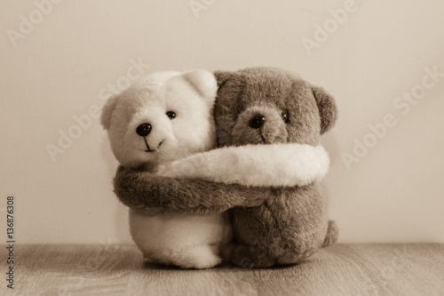 brown and white teddy bear