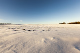 Fototapeta Miasto - landscape in winter