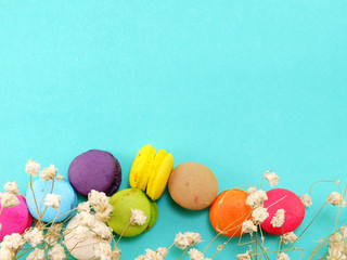 Wall Mural - french macaroons with dryied flower and copy space background