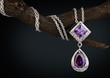 Jewelry  pendant witht gem  amethyst on twig, dark background