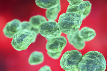 Poster - Bacteria Francisella tularensis, 3D illustration. Gram-negative pleomorphic bacteria which cause zoonotic infection tularemia