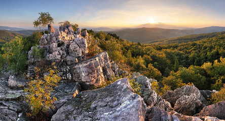 Wall Mural - Sunset in forest with rocky mountain hill