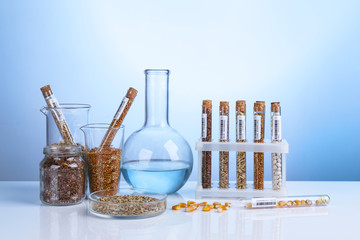 Poster - Cereals in laboratory glassware on color background