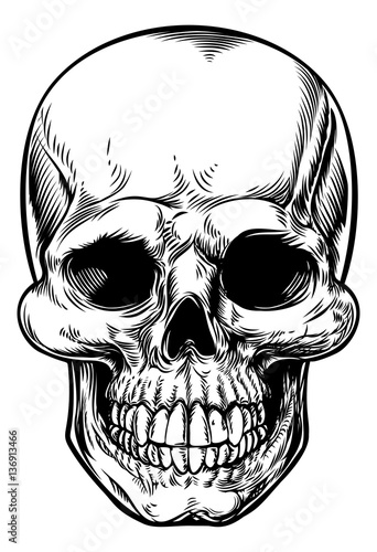 Skull Drawing