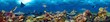 Leinwandbild Motiv colorful super wide underwater coral reef panorama  banner background with many fishes turtle shark and marine life