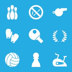 Wall Mural - Set of 9 Sport filled icons