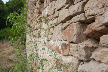 Old stone wall