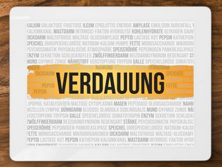 Poster - Verdauung