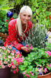 © absolutimages - Mature woman working with flowers