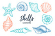 Hand drawn vector illustrations - collection of seashells.  Mari