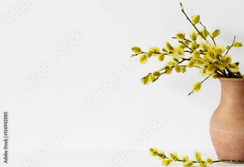 Branches Of The Pussy Willow With Flowering Bud In Vase With Wat