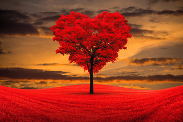 Wall Mural - red heart-shaped tree in the field against the background of a decline.