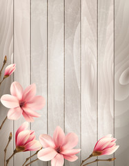 Poster - Nature spring background with beautiful magnolia branches on woo