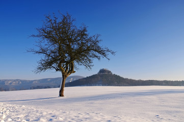 Sticker - Zirkelstein im Winter - mountain Zirkelstein in winter